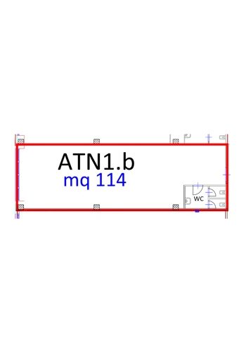 ATN1.b