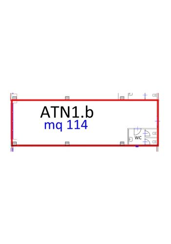 ATN1.b